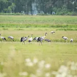 Sonnenaufgang - Charmante Fuer Paare Und Familien Zwischen Ostsee Und Bodden Wustrow (Fischland)