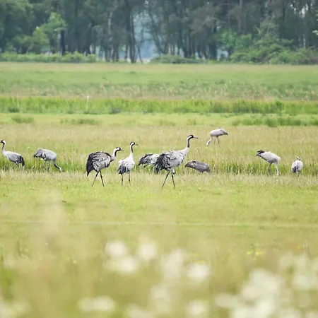 Sonnenaufgang - Charmante Fuer Paare Und Familien Zwischen Ostsee Und Bodden Wustrow (Fischland)