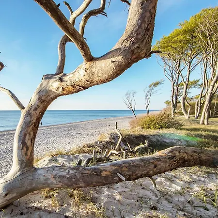 Sonnenaufgang - Charmante Fuer Paare Und Familien Zwischen Ostsee Und Bodden Appartement *
